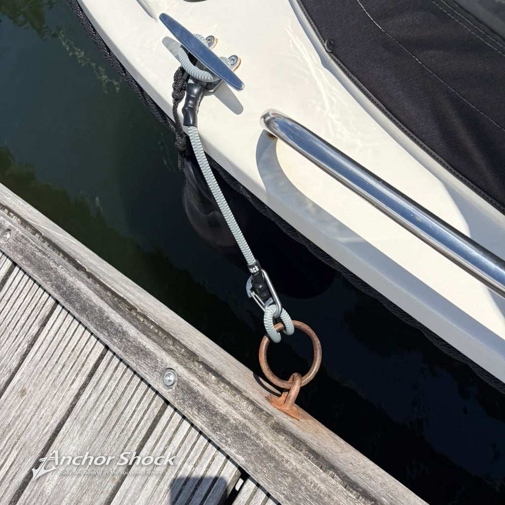 bumper-shock-zilver-in-gebruik-39